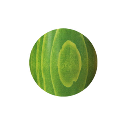 Dehner-Set | Dilator